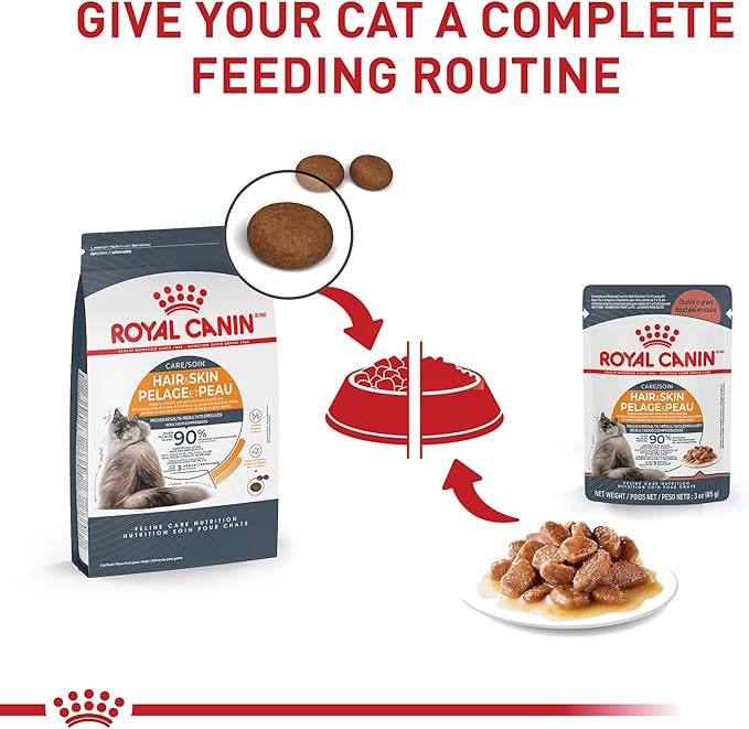 Royal Canin Hair &amp; Skin Care Chunks in Gravy Wet Cat Food Pouch, 3 oz pouch (12-count)