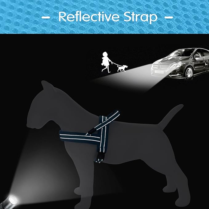 Didog No Pull Dog Harness with Soft Mesh Padded,Reflective &amp; Quick Fit Light Weight Dog Strap Vest Harness,Easy for Walking Training (M:Chest 21-26", Mesh-Blue)