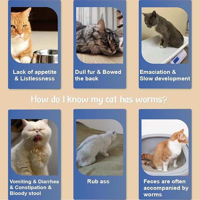 Flea Collar for Cats, Flea and Tick Collars for Kittens, Flea &amp; Tick Treatment Prevention, Natural Essential Oil, 2 Pack, 16 Months Protection, One Size Fits All, Waterproof