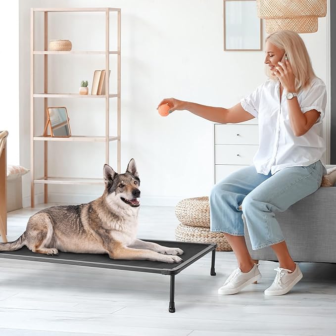 Veehoo Chewproof Elevated Dog Bed - Cooling Raised Pet Cot, Breathable Mesh, Washable &amp; Non-Slip for Large Dogs, Indoor/Outdoor, Black Mat and Black Frame, 49x33inches (Model CWC2203A03)