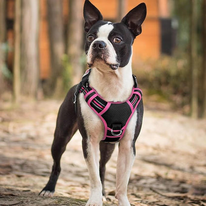 rabbitgoo Dog Harness Small Sized, No Pull Dog Vest with 3 Buckles, Adjustable Soft Padded Pet Harness with Easy Control Handle and Reflective Strips, Black &amp; Rose Pink, S