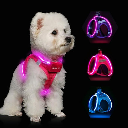 Light Up Dog Harness,Rechargeable LED Dog Harness for Small Medium Large Dogs,Reflective Lighted Safety Vest for Night Walking &amp; Camping,Lightweight &amp; Adjustable,Pink,M
