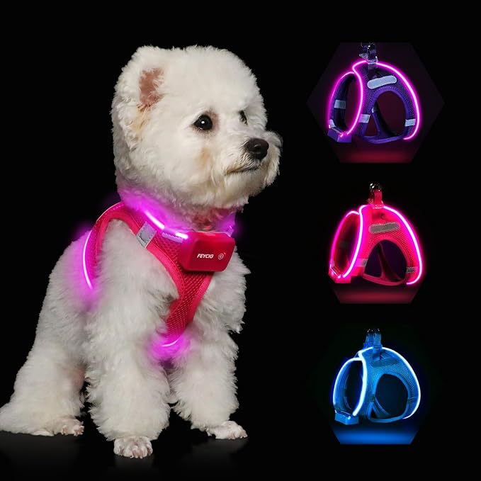 Light Up Dog Harness,Rechargeable LED Dog Harness for Small Medium Large Dogs,Reflective Lighted Safety Vest for Night Walking &amp; Camping,Lightweight &amp; Adjustable,Pink,XS