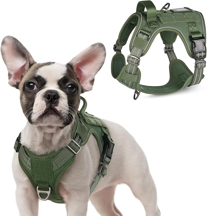rabbitgoo Tactical Dog Harness for Small Dogs, No Pull Military Service Vest with Handle &amp; Molle, Easy Control for Training Walking, Adjustable Reflective Straps, Green, S