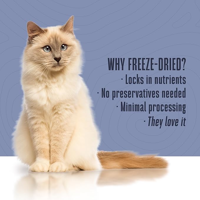 Whole Life Cat Freeze Dried Cat Food - Bland Diet with Sensitive Stomachs, Digestive Support, Anti-Diarrhea &amp; Vomit Remedy – Human-Grade, Quick &amp; Easy Chicken and Rice Meal, Ready in Minutes