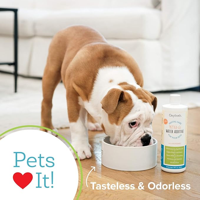 Oxyfresh Premium Pet Dental Care Solution Pet Water Additive: Best Way to Eliminate Bad Dog Breath and Cat Bad Breath - Fights Tartar &amp; Plaque - So Easy, Just Add to Water! Vet Recommended 2 Pack