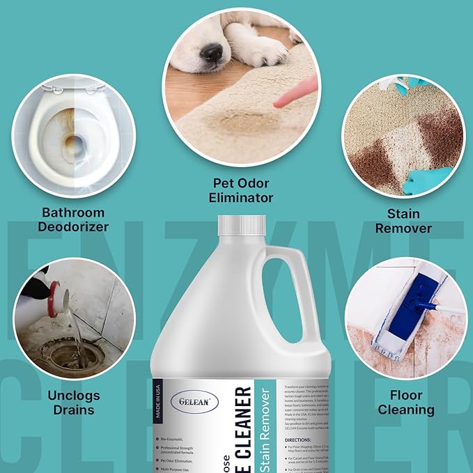 Multi-Purpose Probiotic Enzyme Cleaner, Made in USA - Pet Stain and Odor Remover - Concentrated - Professional &amp; Home Strength Drains, Floors, Bathrooms, Toilets Trash Can, (1 gallon, Fresh fragrance)