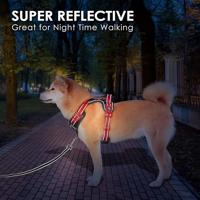 PHOEPET No Pull Dog Harness, Unique Colors Reflective Adjustable Dog Vest, with Soft Training Handle Metal Clips for Small Medium Large Dogs (Black Base &amp; Red Straps,M)