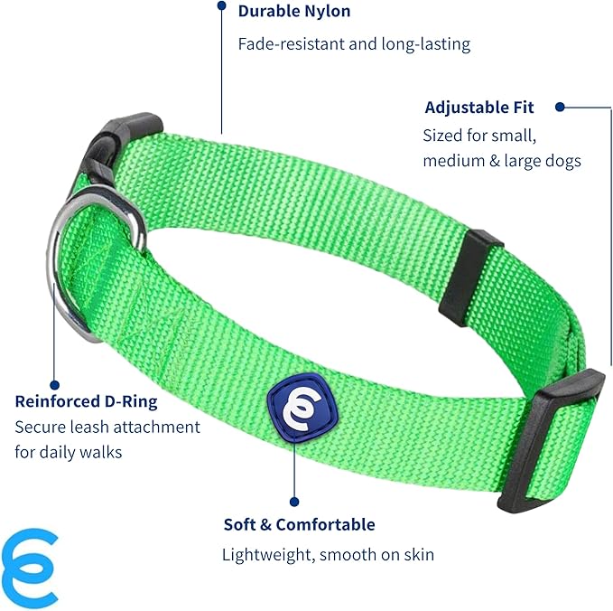Blueberry Pet Essentials X-Small Dog Collar in Neon Green | Adjustable &amp; Eco-Friendly Durable Nylon Strap | Classic Collar for X-Small Dogs, Boy &amp; Girl Pets