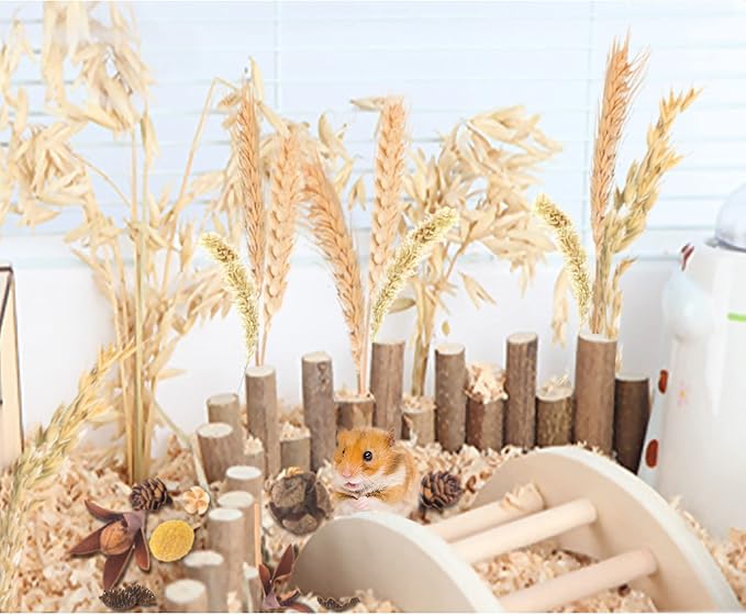 Natural Ear of Grain Flower&amp;Herb Bedding Mate Habitat Decor, Adding Fun Hamster Accessories for Hamsters Gerbils Lemming