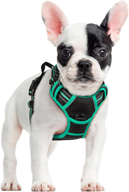rabbitgoo Dog Harness No Pull with 2 Leash Clips, Adjustable Soft Padded, Reflective Oxford No Choke Pet Vest with Easy Control Handle for Small Dogs, Black &amp; Turquoise, S