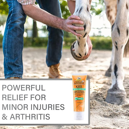 Absorbine Veterinary Liniment Gel, Topical Menthol Analgesic Rub for Sore Muscle, Joint &amp; Arthritis Pain Relief, Combo Pack Includes 12oz Value Size + 3oz Travel Size