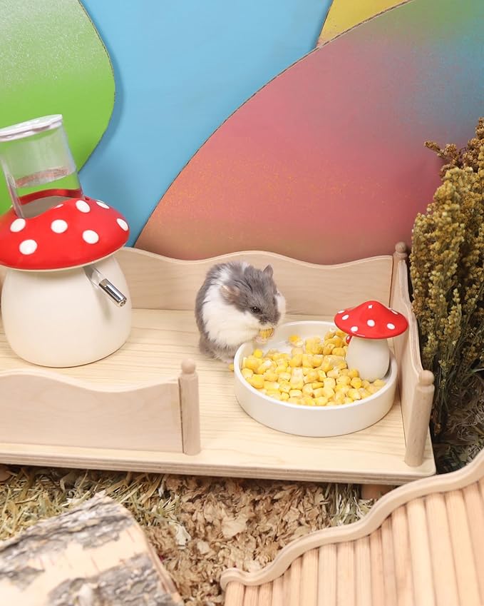 Niteangel Hamster Snack &amp; Treats Toy - Small Animal Natural Treat for Dwarf Syrian Robo Hamsters Gerbils Mice Lemmings Degus or Other Small-Sized Pets