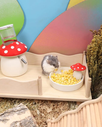 Niteangel Hamster Snack &amp; Treats Toy - Small Animal Natural Treat for Dwarf Syrian Robo Hamsters Gerbils Mice Lemmings Degus or Other Small-Sized Pets