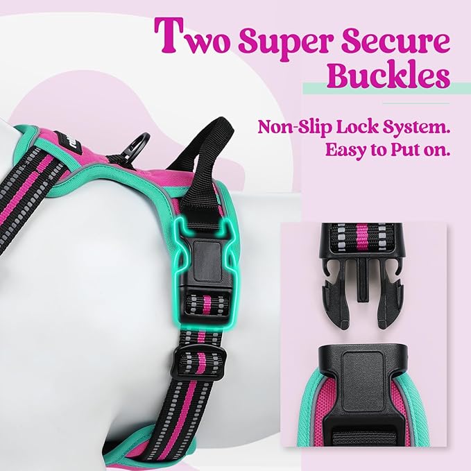 rabbitgoo Dog Harness No Pull with 2 Leash Clips, Adjustable Soft Padded, Reflective Oxford No Choke Pet Vest with Easy Control Handle for Large Dogs, Hot Pink &amp; Turquoise, L
