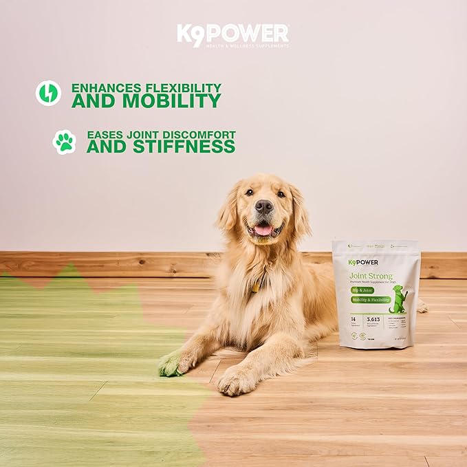 K9 Power Joint Strong Supplement 1 lb - Dog Joint Health &amp; Mobility Support with Glucosamine, Curcumin, Chondroitin, Hip &amp; Joint Pain Relief - Pack of 2