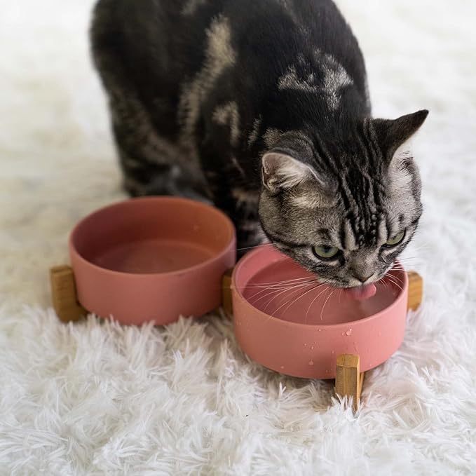 SPUNKYJUNKY Ceramic Dog and Cat Bowl with Wood Stand Non-Slip Matte Glaze Weighted Food Water Set for Cats &amp;Small Dogs 13.5 OZ