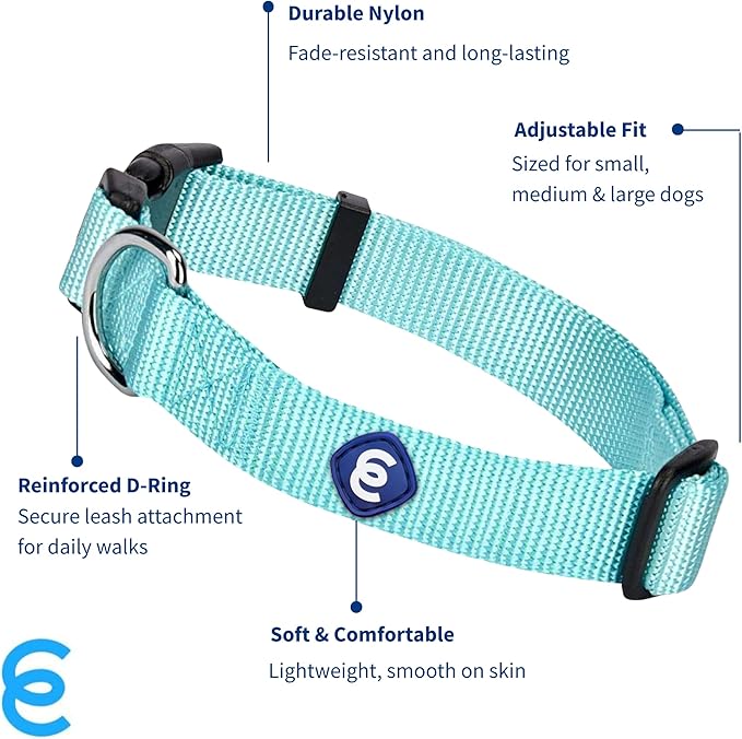 Blueberry Pet Essentials Matching Medium Adjustable &amp; Durable Classic Solid Color Nylon Dog Collars for Medium Dogs | Mint Blue Collar for Girl &amp; Boy Dogs