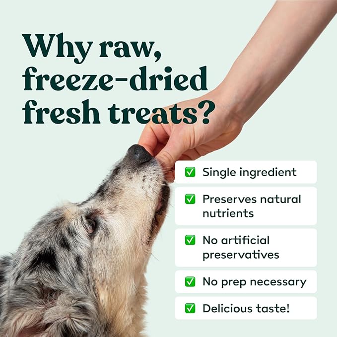 Little Hunter Freeze-Dried Raw Quail Egg Yolk for Dog &amp; Cat Treats | Single-Ingredient High Protein, High Omega-3, Grain &amp; Gluten-Free Training Reward | All Natural, Healthy Pet Treats, 4.2 oz