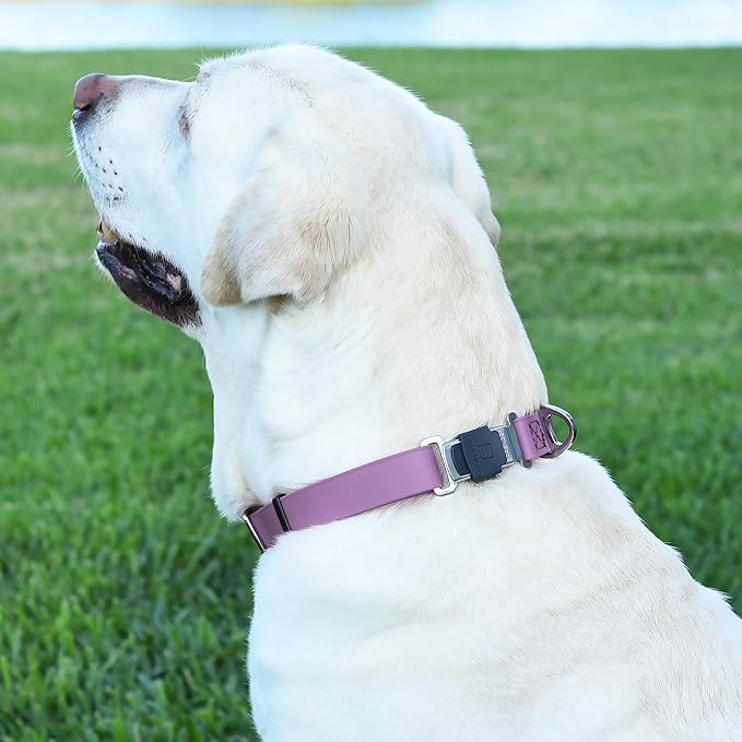 Dogline Biothane Waterproof Dog Collar with Herm Sprenger Stainless Steel Quick Release Buckle – Heavy Duty Tactical Durable Collar for Dogs – Comfortable and Safe Pet Collar, W 1" L 15-25", Amethyst
