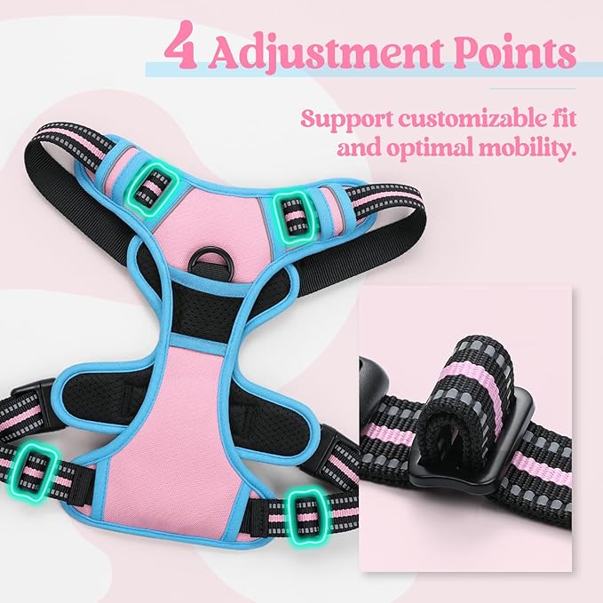 rabbitgoo Dog Harness No Pull with 2 Leash Clips, Adjustable Soft Padded, Reflective Oxford No Choke Pet Vest with Easy Control Handle for Large Dogs, Pink &amp; Blue, XL