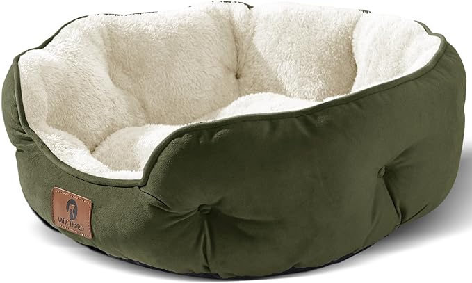 Asvin Small Dog Bed for Small Dogs, Cat Beds for Indoor Cats, Pet Bed for Puppy and Kitty, Extra Soft &amp; Machine Washable with Anti-Slip &amp; Water-Resistant Oxford Bottom, Green, 20 inches