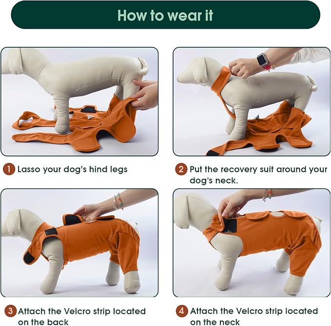 Kuoser Dog Recovery Suit for Back Legs &amp; Thigh Wounds - Brown XL