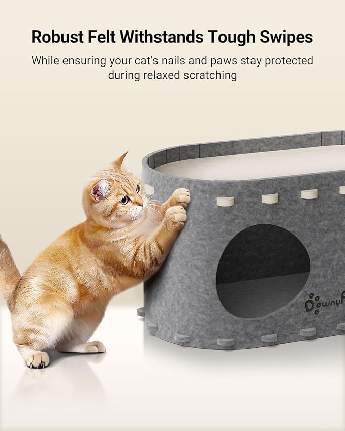 DownyPaws Cat House for Indoor Cats, Cat Bed Cave for Multiple &amp; Large Cats Up to 22 Lbs, Scratch Resistant, Foldable Peekaboo Kitten Caves Tunnel Enclosed Bed, PeekaPurr, Light Gray