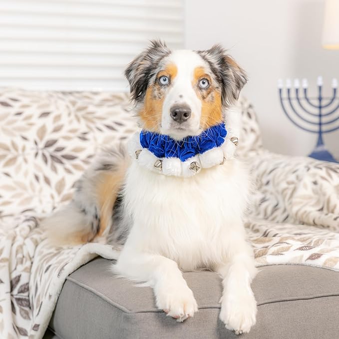 Huxley &amp; Kent Ruff Pet Scrunchy | Hanukkah (Medium) | Festive Christmas/Holiday Neckwear for Dogs/Cats | Fun Stretchable Costume Accessory | Soft Collar with Bells
