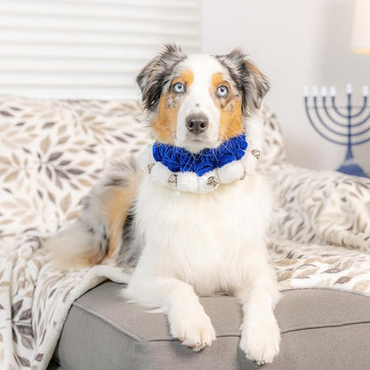 Huxley &amp; Kent Ruff Pet Scrunchy | Hanukkah (Medium) | Festive Christmas/Holiday Neckwear for Dogs/Cats | Fun Stretchable Costume Accessory | Soft Collar with Bells