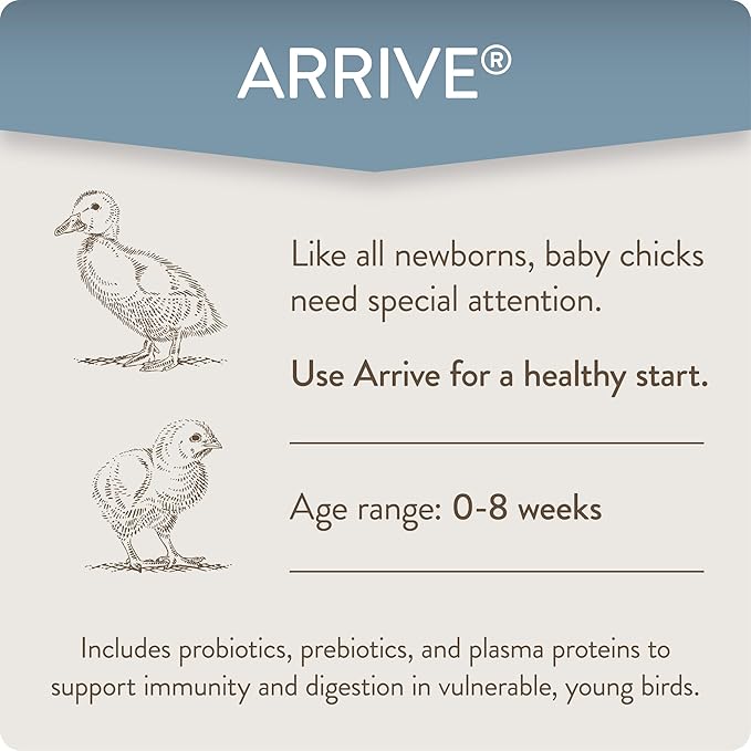 Arrive, Daily Probiotic &amp; Prebiotic Poultry Supplement for Young Chickens 0-8 Weeks Old, 8 oz