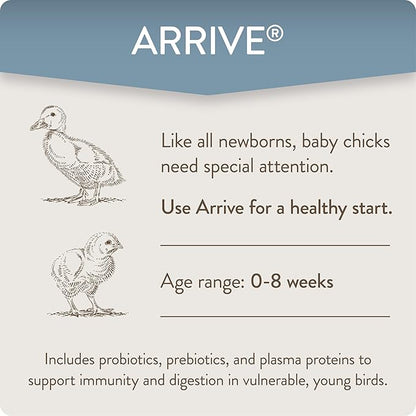 Arrive, Daily Probiotic &amp; Prebiotic Poultry Supplement for Young Chickens 0-8 Weeks Old, 8 oz