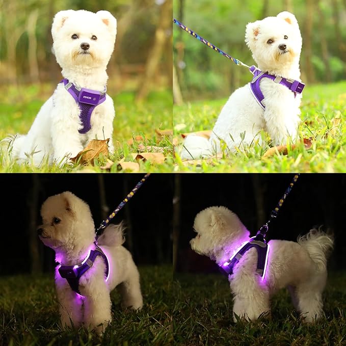 Light Up Dog Harness,Rechargeable LED Dog Harness for Small Medium Large Dogs,Reflective Lighted Safety Vest for Night Walking &amp; Camping,Lightweight &amp; Adjustable,Purple,M