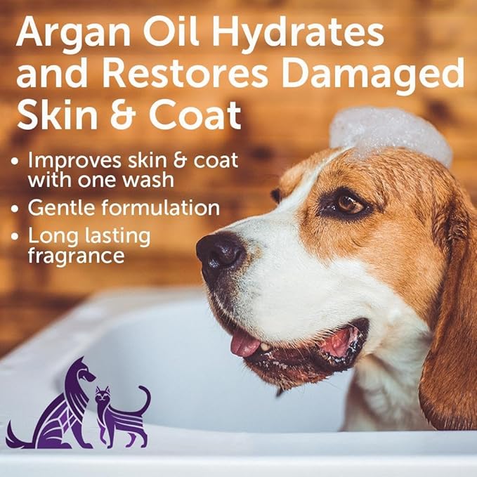Nootie - Pet Shampoo for Sensitive Skin - Revitalizes Dry Skin &amp; Coat - Natural Ingredients - Gentle Dog Shampoo - Cleans &amp; Conditions