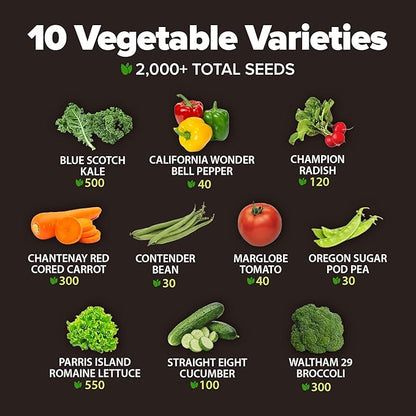 HOME GROWN 𝗨𝗦𝗔 𝗣𝗥𝗘𝗠𝗜𝗨𝗠 10 Variety Vegetable 2,000+ 𝗡𝗢𝗡-𝗚𝗠𝗢 Seeds (Kale Lettuce Tomato Broccoli Beans Peas Bell Peppers Carrot Cucumber Radish) – Indoor &amp; Outdoor Garden Survival Seeds
