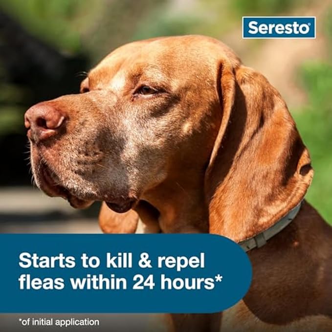 Seresto Large Dog Vet-Recommended Flea &amp; Tick Treatment &amp; Prevention Collar for Dogs Over 18 lbs. | 2-Pack
