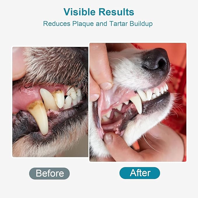 Dog Teeth Cleaning Powder 100g Fights Plaque &amp; Tartar Freshens Breath All-Natural Ingredients for Dogs of All Breeds and Ages Easy to Use Dog Dental Powder