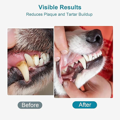 Dog Teeth Cleaning Powder 100g Fights Plaque &amp; Tartar Freshens Breath All-Natural Ingredients for Dogs of All Breeds and Ages Easy to Use Dog Dental Powder