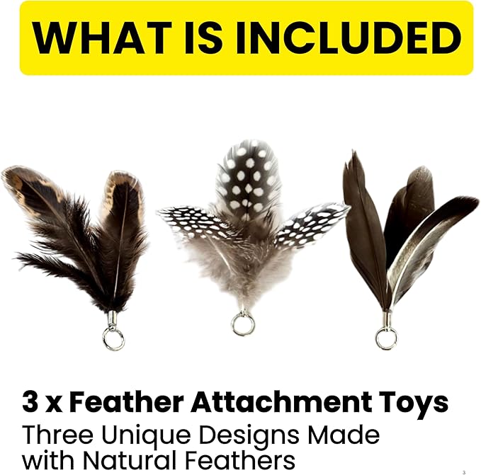 Feather Toys Replacements (3 Pc) - Cat Toys &amp; Kitten Toys for Indoor Kittens, Set of Replacement Feather Attachments Extra Small and Durable, for Cat Wands, Natural and Safe