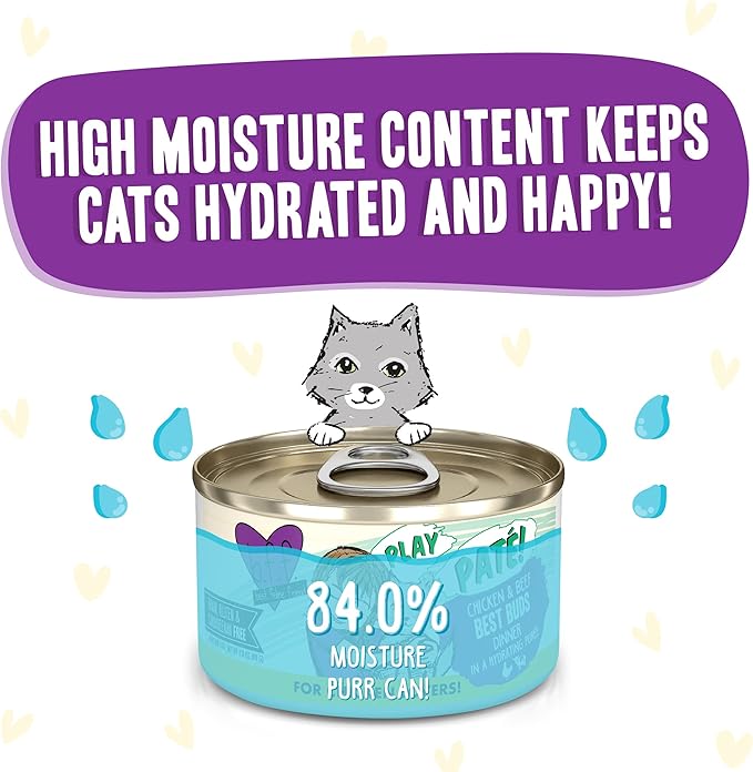 Weruva B.F.F. Play - Best Feline Friend Paté Lovers, Aw Yeah!, Chicken &amp; Beef Best Buds with Chicken &amp; Beef, 2.8oz Can (Pack of 12)