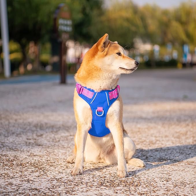PHOEPET No Pull Dog Harness, Unique Colors Reflective Adjustable Dog Vest, with Soft Training Handle Metal Clips for Small Medium Large Dogs (Royal Blue Base &amp; Pink Straps,L)