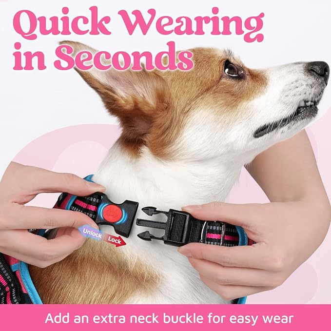 rabbitgoo Dog Harness Small Sized, No Pull Dog Vest with 3 Buckles, Adjustable Soft Padded Pet Harness with Easy Control Handle and Reflective Strips, Rose Pink &amp; Blue, S