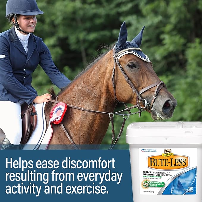Absorbine Bute-Less Comfort &amp; Recovery Support Supplement, Provides Long-Term Comfort, Gentle on Stomach, Includes Devil’s Claw, Vitamin B-12, Yucca, 10 lb / 160 Day Supply