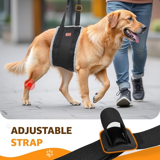 Adjustable Dog Lift Harness, Dog Sling for Large Dogs Hind Leg Support, Soft Lift Support Helps Senior, Injured, Disabled and After ACL Surgery Dogs-Black &amp; Grey (Large)