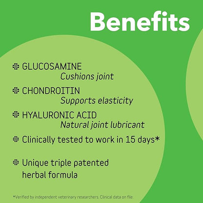 InClover Connectin Natural Hip &amp; Joint Supplement for Dogs with Glucosamine, Chondroitin &amp; Hyaluronic Acid - Soft Chew for Dog Mobility, Comfort &amp; Active Lifestyle Support, 300 Count