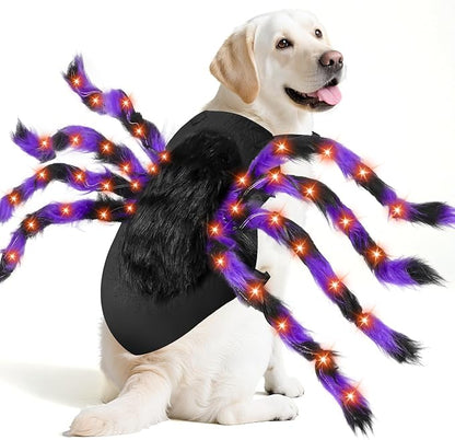 Light-Up Halloween Spider Dog Costume with Orange LED Lights, Purple &amp; Black Furry Spider Costumes for Pets, Funny Halloween Costume Outfit for Cosplay Party (XL)