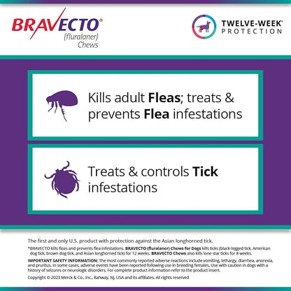 BRAVECTO Chew for Dogs, Flea &amp; Tick, 1 Chew, 12 Week Supply, 22-44 lbs., Green Box