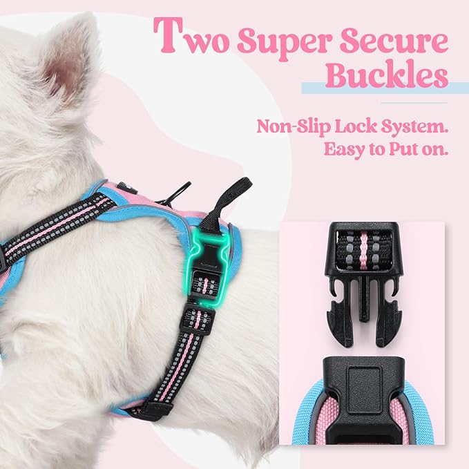 rabbitgoo Dog Harness No Pull with 2 Leash Clips, Adjustable Soft Padded, Reflective Oxford No Choke Pet Vest with Easy Control Handle for Puppy, Pink &amp; Blue, XS