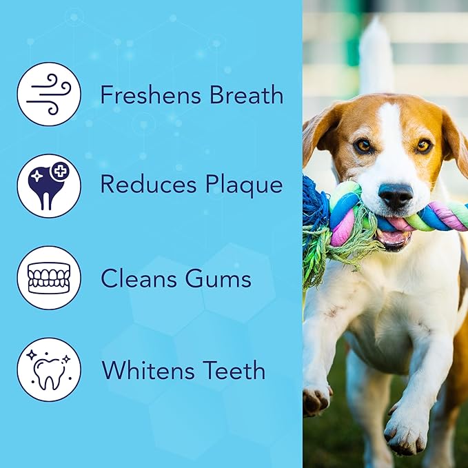 NOVEHA Pets Dental Finger Wipes for Dogs &amp; Cats | Freshens Breath, Reduces Plaque | Healthier Gums | Clean Teeth No Toothbrush | Vet Recommended Effective Natural Oral Care (100 pcs, Mint)