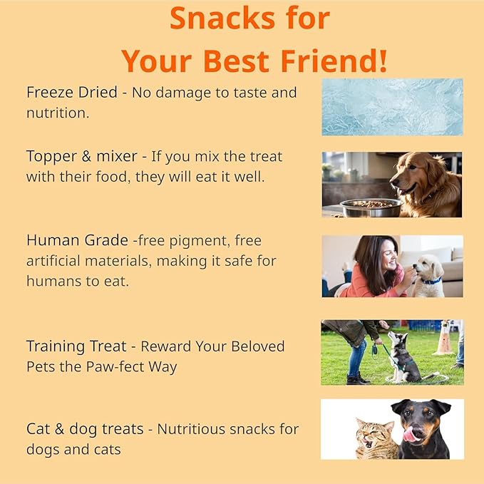 Puppyluv Treat - Freeze Dried Salmon Dog &amp; Cat Treats, Wild Caught, Single Ingredient, Natural High Protein &amp; Fish Oil, Grain Free Gluten Free, 3.2oz